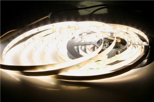High definition 220V Strip - 5630-112-24V-CCT-10mm led flexible strip light – Vision