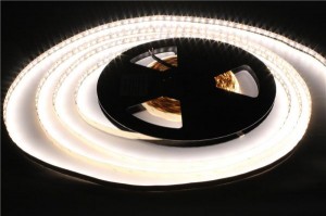 New Fashion Design for SMD 5630 Rigid Strip - 5050RGBW-60-24V-12mm led flexible strip light – Vision